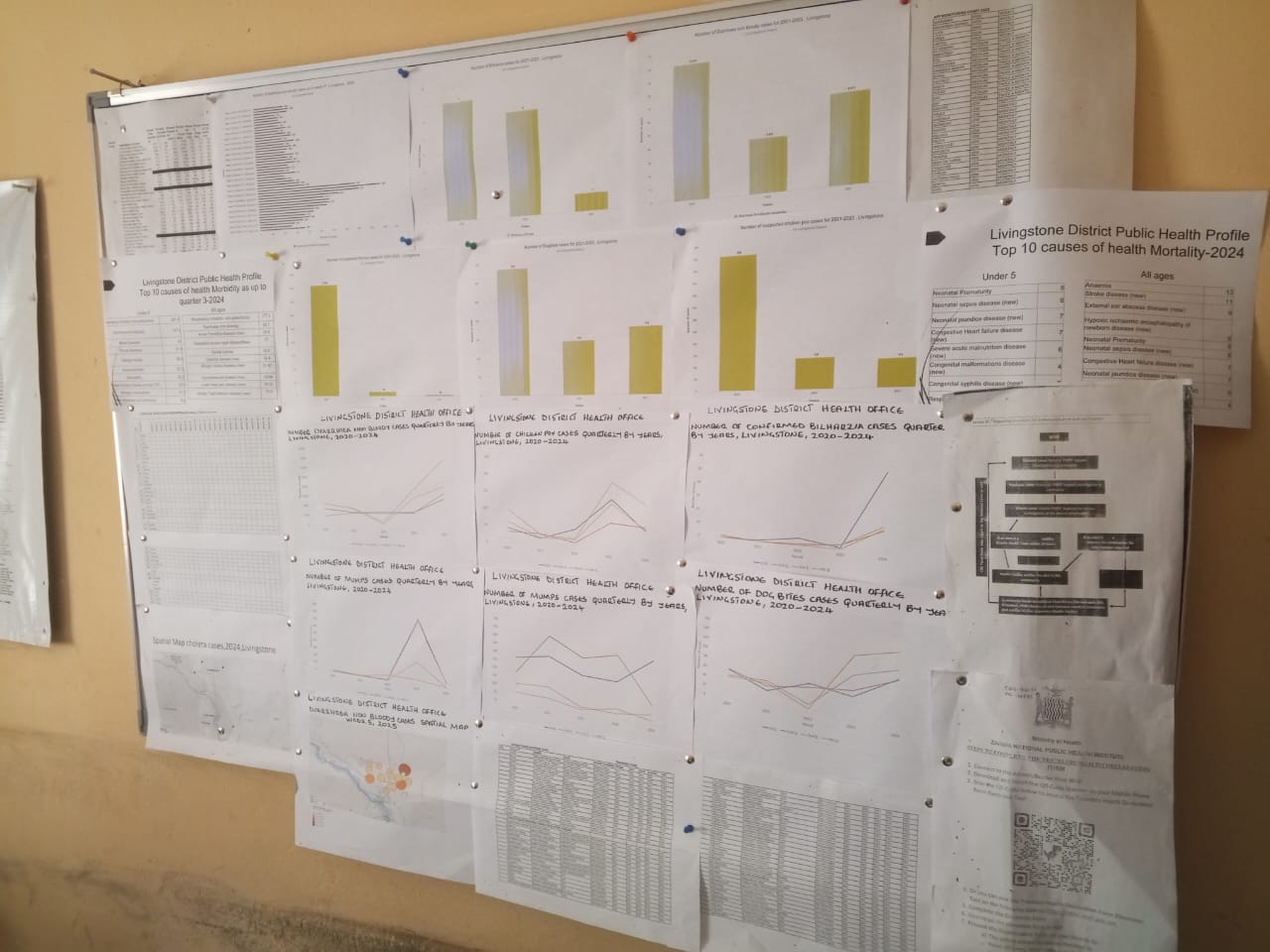 The Zambia National Public Health Institute’s new alert system helping to detect public health threats faster